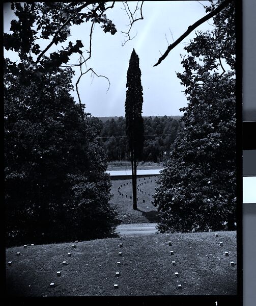 [144 Views of Mississippi Farmlands, Towns, Cemeteries, and Residential and Commercial Architecture, Commissioned by Vogue Magazine for the Article "Faulkner's Mississippi"], Walker Evans (American, St. Louis, Missouri 1903–1975 New Haven, Connecticut), Film negative