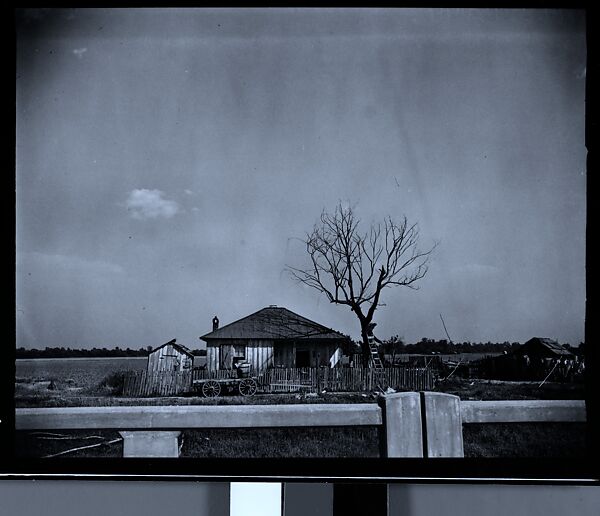[144 Views of Mississippi Farmlands, Towns, Cemeteries, and Residential and Commercial Architecture, Commissioned by Vogue Magazine for the Article "Faulkner's Mississippi"], Walker Evans (American, St. Louis, Missouri 1903–1975 New Haven, Connecticut), Film negative