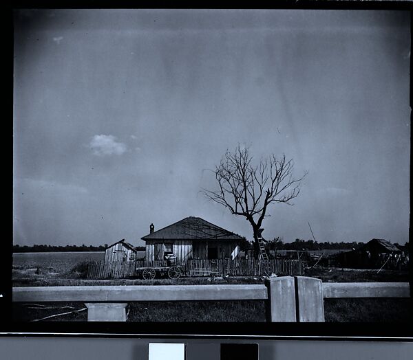 [144 Views of Mississippi Farmlands, Towns, Cemeteries, and Residential and Commercial Architecture, Commissioned by Vogue Magazine for the Article "Faulkner's Mississippi"], Walker Evans (American, St. Louis, Missouri 1903–1975 New Haven, Connecticut), Film negative