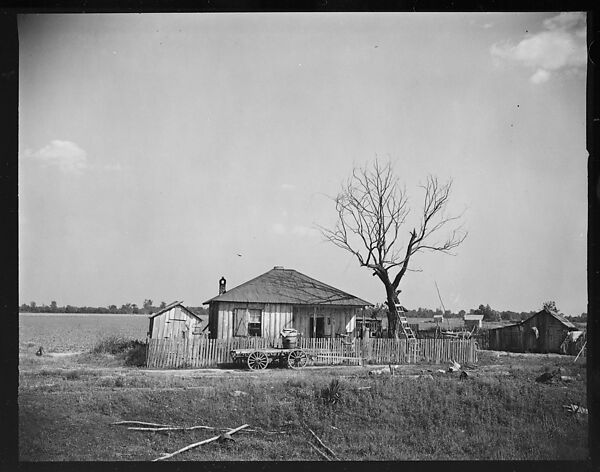 [144 Views of Mississippi Farmlands, Towns, Cemeteries, and Residential and Commercial Architecture, Commissioned by Vogue Magazine for the Article "Faulkner's Mississippi"], Walker Evans (American, St. Louis, Missouri 1903–1975 New Haven, Connecticut), Film negative