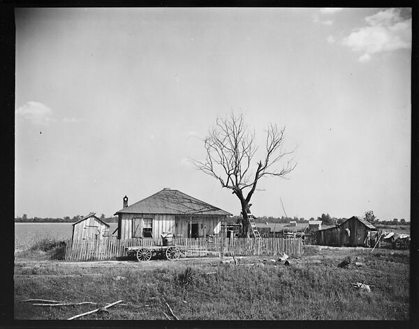[144 Views of Mississippi Farmlands, Towns, Cemeteries, and Residential and Commercial Architecture, Commissioned by Vogue Magazine for the Article "Faulkner's Mississippi"], Walker Evans (American, St. Louis, Missouri 1903–1975 New Haven, Connecticut), Film negative