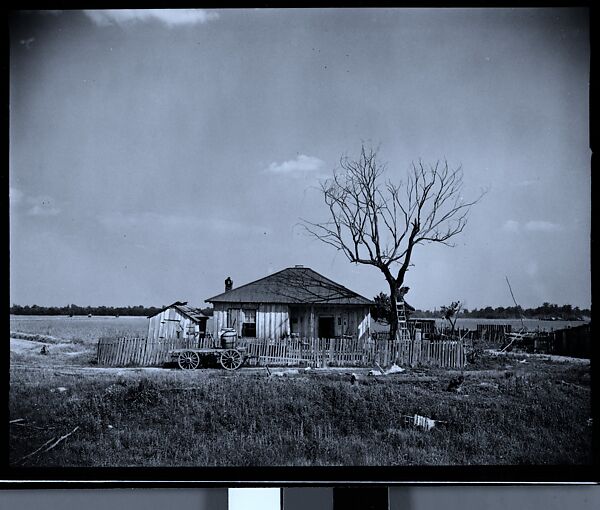 [144 Views of Mississippi Farmlands, Towns, Cemeteries, and Residential and Commercial Architecture, Commissioned by Vogue Magazine for the Article "Faulkner's Mississippi"], Walker Evans (American, St. Louis, Missouri 1903–1975 New Haven, Connecticut), Film negative