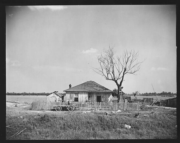 [144 Views of Mississippi Farmlands, Towns, Cemeteries, and Residential and Commercial Architecture, Commissioned by Vogue Magazine for the Article "Faulkner's Mississippi"], Walker Evans (American, St. Louis, Missouri 1903–1975 New Haven, Connecticut), Film negative