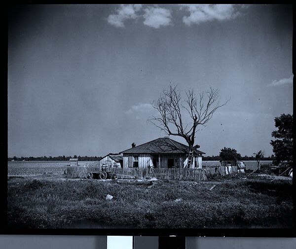 [144 Views of Mississippi Farmlands, Towns, Cemeteries, and Residential and Commercial Architecture, Commissioned by Vogue Magazine for the Article "Faulkner's Mississippi"], Walker Evans (American, St. Louis, Missouri 1903–1975 New Haven, Connecticut), Film negative