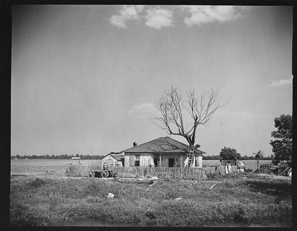 [144 Views of Mississippi Farmlands, Towns, Cemeteries, and Residential and Commercial Architecture, Commissioned by Vogue Magazine for the Article "Faulkner's Mississippi"], Walker Evans (American, St. Louis, Missouri 1903–1975 New Haven, Connecticut), Film negative