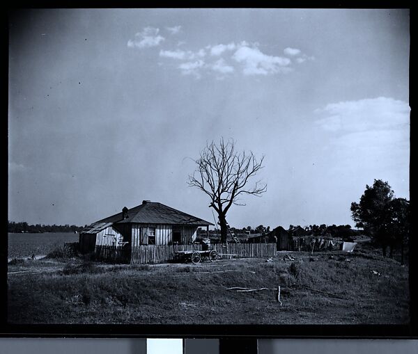 [144 Views of Mississippi Farmlands, Towns, Cemeteries, and Residential and Commercial Architecture, Commissioned by Vogue Magazine for the Article "Faulkner's Mississippi"], Walker Evans (American, St. Louis, Missouri 1903–1975 New Haven, Connecticut), Film negative