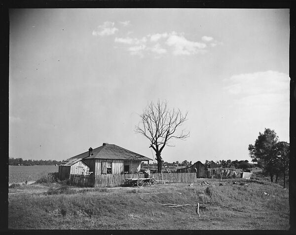 [144 Views of Mississippi Farmlands, Towns, Cemeteries, and Residential and Commercial Architecture, Commissioned by Vogue Magazine for the Article "Faulkner's Mississippi"], Walker Evans (American, St. Louis, Missouri 1903–1975 New Haven, Connecticut), Film negative