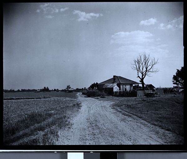 [144 Views of Mississippi Farmlands, Towns, Cemeteries, and Residential and Commercial Architecture, Commissioned by Vogue Magazine for the Article "Faulkner's Mississippi"], Walker Evans (American, St. Louis, Missouri 1903–1975 New Haven, Connecticut), Film negative
