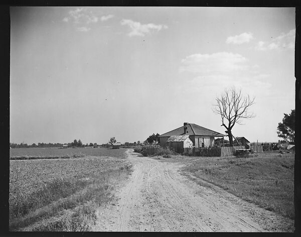 [144 Views of Mississippi Farmlands, Towns, Cemeteries, and Residential and Commercial Architecture, Commissioned by Vogue Magazine for the Article "Faulkner's Mississippi"], Walker Evans (American, St. Louis, Missouri 1903–1975 New Haven, Connecticut), Film negative
