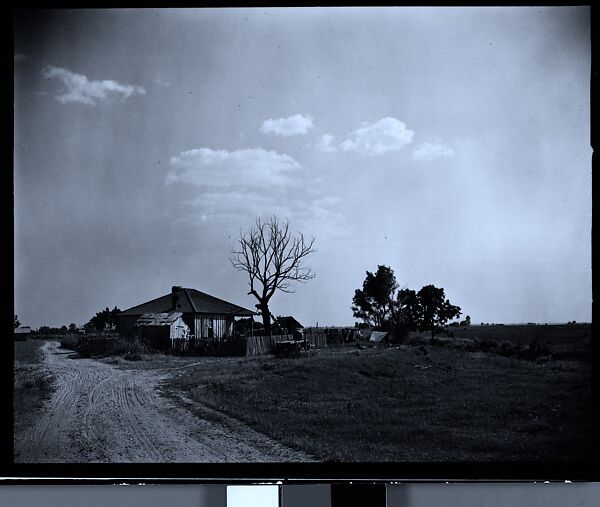 [144 Views of Mississippi Farmlands, Towns, Cemeteries, and Residential and Commercial Architecture, Commissioned by Vogue Magazine for the Article "Faulkner's Mississippi"], Walker Evans (American, St. Louis, Missouri 1903–1975 New Haven, Connecticut), Film negative