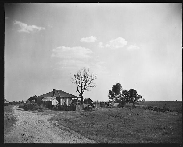 [144 Views of Mississippi Farmlands, Towns, Cemeteries, and Residential and Commercial Architecture, Commissioned by Vogue Magazine for the Article "Faulkner's Mississippi"], Walker Evans (American, St. Louis, Missouri 1903–1975 New Haven, Connecticut), Film negative