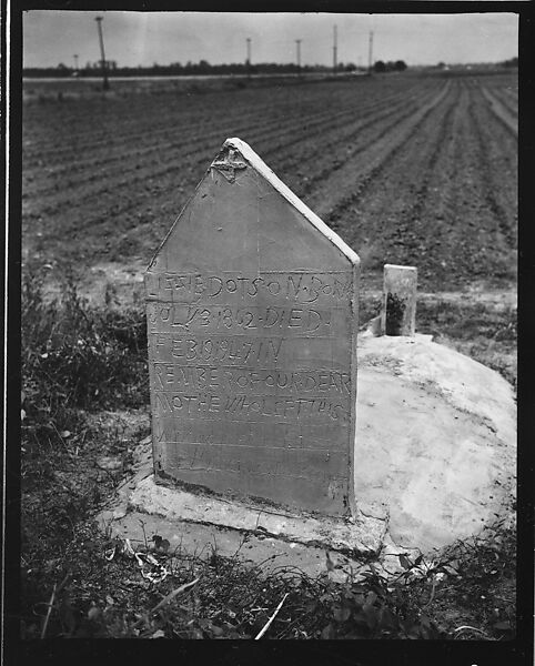 [144 Views of Mississippi Farmlands, Towns, Cemeteries, and Residential and Commercial Architecture, Commissioned by Vogue Magazine for the Article "Faulkner's Mississippi"], Walker Evans (American, St. Louis, Missouri 1903–1975 New Haven, Connecticut), Film negative