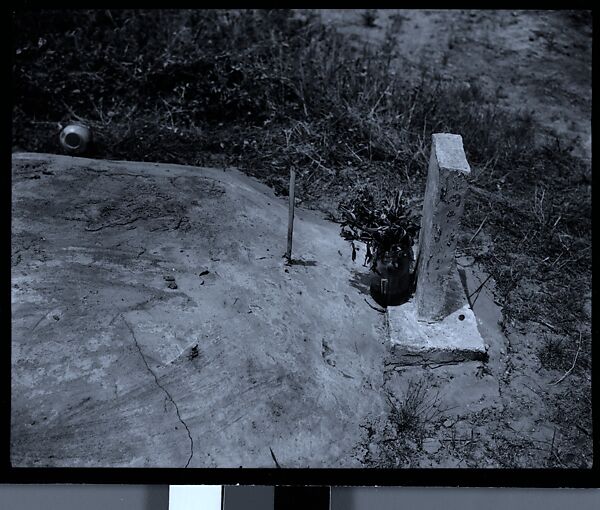 [144 Views of Mississippi Farmlands, Towns, Cemeteries, and Residential and Commercial Architecture, Commissioned by Vogue Magazine for the Article "Faulkner's Mississippi"], Walker Evans (American, St. Louis, Missouri 1903–1975 New Haven, Connecticut), Film negative