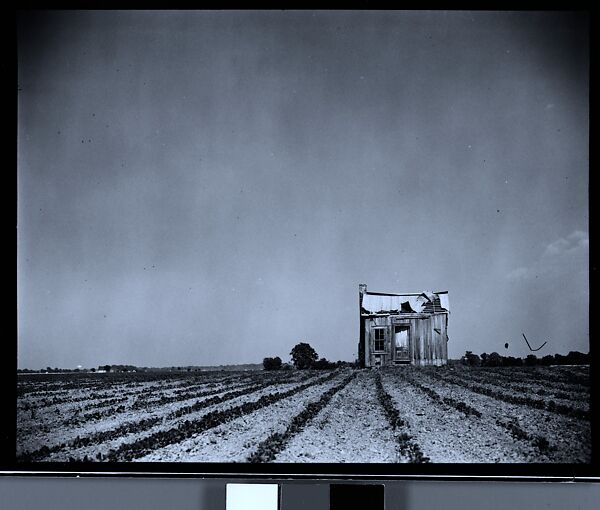 [144 Views of Mississippi Farmlands, Towns, Cemeteries, and Residential and Commercial Architecture, Commissioned by Vogue Magazine for the Article "Faulkner's Mississippi"], Walker Evans (American, St. Louis, Missouri 1903–1975 New Haven, Connecticut), Film negative