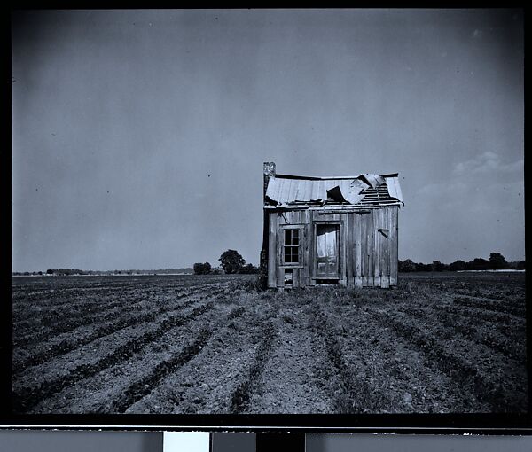 [144 Views of Mississippi Farmlands, Towns, Cemeteries, and Residential and Commercial Architecture, Commissioned by Vogue Magazine for the Article "Faulkner's Mississippi"], Walker Evans (American, St. Louis, Missouri 1903–1975 New Haven, Connecticut), Film negative
