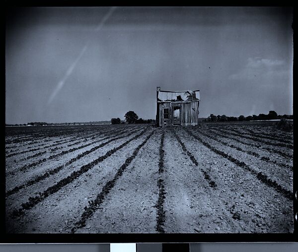 [144 Views of Mississippi Farmlands, Towns, Cemeteries, and Residential and Commercial Architecture, Commissioned by Vogue Magazine for the Article "Faulkner's Mississippi"], Walker Evans (American, St. Louis, Missouri 1903–1975 New Haven, Connecticut), Film negative