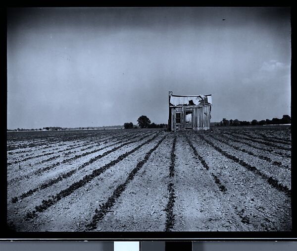 [144 Views of Mississippi Farmlands, Towns, Cemeteries, and Residential and Commercial Architecture, Commissioned by Vogue Magazine for the Article "Faulkner's Mississippi"], Walker Evans (American, St. Louis, Missouri 1903–1975 New Haven, Connecticut), Film negative