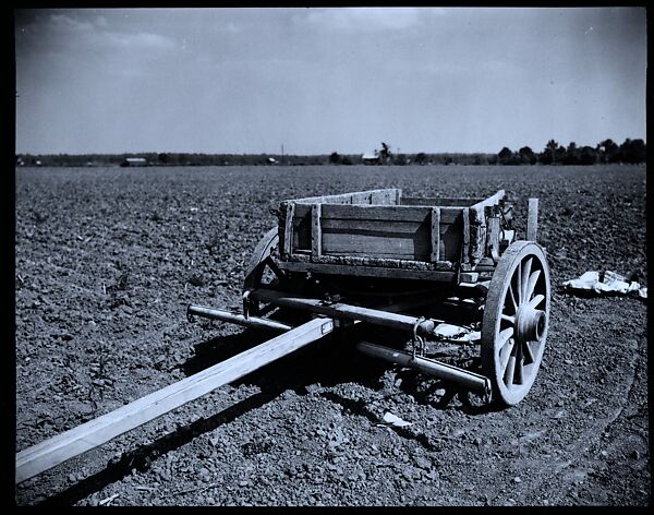 [144 Views of Mississippi Farmlands, Towns, Cemeteries, and Residential and Commercial Architecture, Commissioned by Vogue Magazine for the Article "Faulkner's Mississippi"], Walker Evans (American, St. Louis, Missouri 1903–1975 New Haven, Connecticut), Film negative