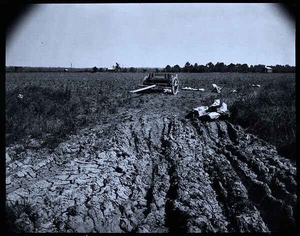 [144 Views of Mississippi Farmlands, Towns, Cemeteries, and Residential and Commercial Architecture, Commissioned by Vogue Magazine for the Article "Faulkner's Mississippi"], Walker Evans (American, St. Louis, Missouri 1903–1975 New Haven, Connecticut), Film negative
