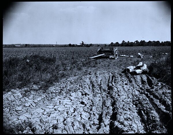[144 Views of Mississippi Farmlands, Towns, Cemeteries, and Residential and Commercial Architecture, Commissioned by Vogue Magazine for the Article "Faulkner's Mississippi"], Walker Evans (American, St. Louis, Missouri 1903–1975 New Haven, Connecticut), Film negative