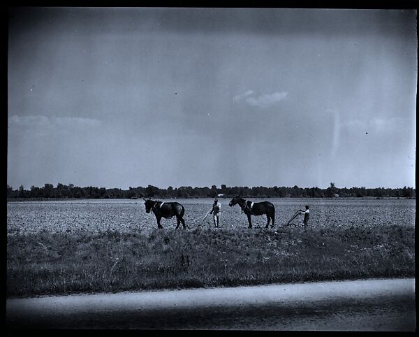 [144 Views of Mississippi Farmlands, Towns, Cemeteries, and Residential and Commercial Architecture, Commissioned by Vogue Magazine for the Article "Faulkner's Mississippi"], Walker Evans (American, St. Louis, Missouri 1903–1975 New Haven, Connecticut), Film negative