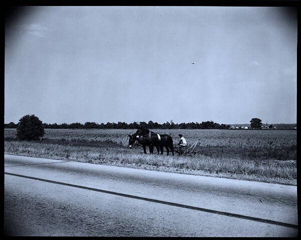 [144 Views of Mississippi Farmlands, Towns, Cemeteries, and Residential and Commercial Architecture, Commissioned by Vogue Magazine for the Article "Faulkner's Mississippi"], Walker Evans (American, St. Louis, Missouri 1903–1975 New Haven, Connecticut), Film negative
