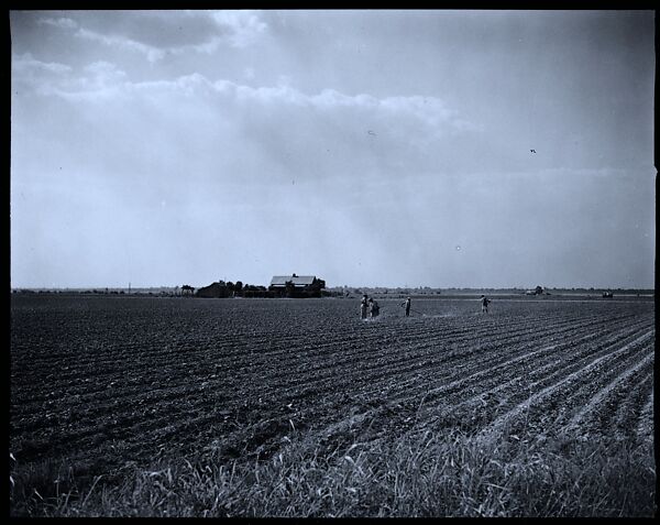 [144 Views of Mississippi Farmlands, Towns, Cemeteries, and Residential and Commercial Architecture, Commissioned by Vogue Magazine for the Article "Faulkner's Mississippi"], Walker Evans (American, St. Louis, Missouri 1903–1975 New Haven, Connecticut), Film negative