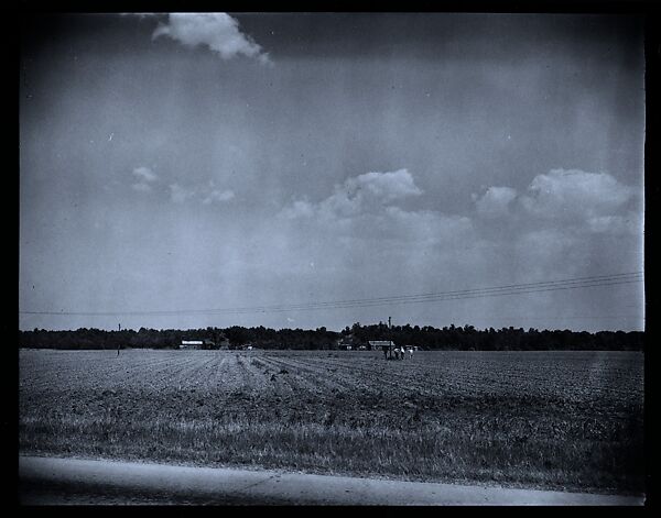 [144 Views of Mississippi Farmlands, Towns, Cemeteries, and Residential and Commercial Architecture, Commissioned by Vogue Magazine for the Article "Faulkner's Mississippi"], Walker Evans (American, St. Louis, Missouri 1903–1975 New Haven, Connecticut), Film negative