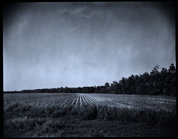[144 Views of Mississippi Farmlands, Towns, Cemeteries, and Residential and Commercial Architecture, Commissioned by Vogue Magazine for the Article "Faulkner's Mississippi"], Walker Evans (American, St. Louis, Missouri 1903–1975 New Haven, Connecticut), Film negative