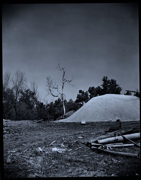 [144 Views of Mississippi Farmlands, Towns, Cemeteries, and Residential and Commercial Architecture, Commissioned by Vogue Magazine for the Article "Faulkner's Mississippi"], Walker Evans (American, St. Louis, Missouri 1903–1975 New Haven, Connecticut), Film negative