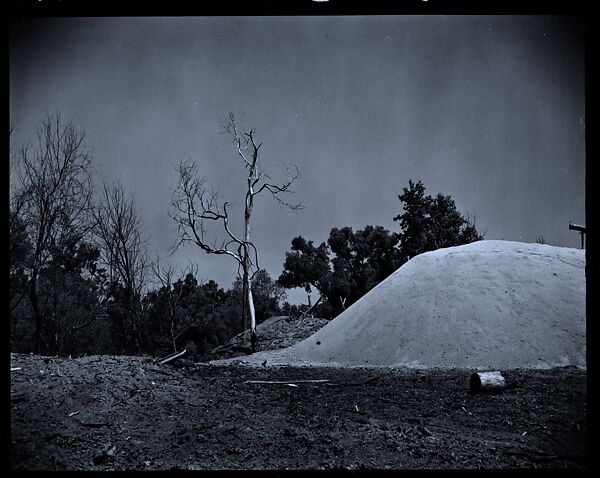 [144 Views of Mississippi Farmlands, Towns, Cemeteries, and Residential and Commercial Architecture, Commissioned by Vogue Magazine for the Article "Faulkner's Mississippi"], Walker Evans (American, St. Louis, Missouri 1903–1975 New Haven, Connecticut), Film negative