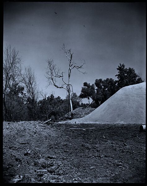 [144 Views of Mississippi Farmlands, Towns, Cemeteries, and Residential and Commercial Architecture, Commissioned by Vogue Magazine for the Article "Faulkner's Mississippi"], Walker Evans (American, St. Louis, Missouri 1903–1975 New Haven, Connecticut), Film negative