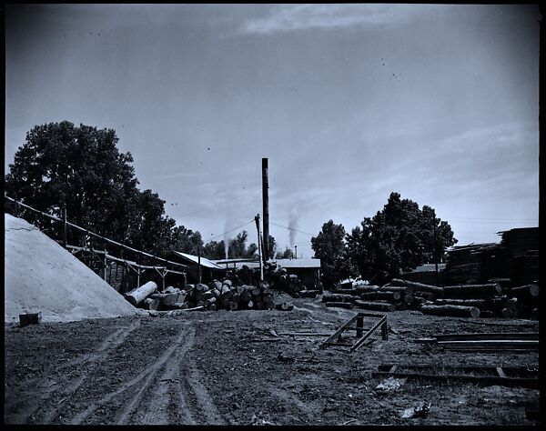 [144 Views of Mississippi Farmlands, Towns, Cemeteries, and Residential and Commercial Architecture, Commissioned by Vogue Magazine for the Article "Faulkner's Mississippi"], Walker Evans (American, St. Louis, Missouri 1903–1975 New Haven, Connecticut), Film negative