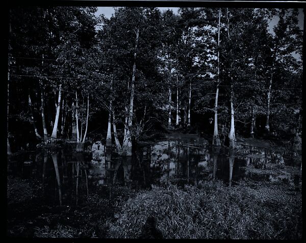[144 Views of Mississippi Farmlands, Towns, Cemeteries, and Residential and Commercial Architecture, Commissioned by Vogue Magazine for the Article "Faulkner's Mississippi"], Walker Evans (American, St. Louis, Missouri 1903–1975 New Haven, Connecticut), Film negative