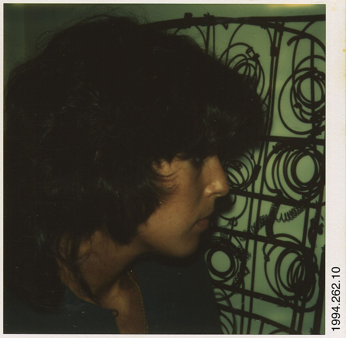[Ricki Hudeas, Old Lyme, Connecticut], Walker Evans (American, St. Louis, Missouri 1903–1975 New Haven, Connecticut), Instant internal dye diffusion transfer print (Polaroid SX-70) 