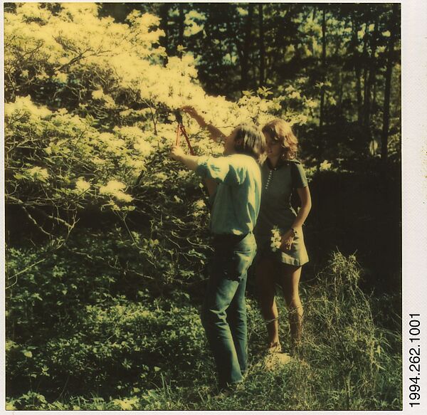 Walker Evans | [Jerry Thompson and Jane Corrigan Pruning a Tree] | The ...