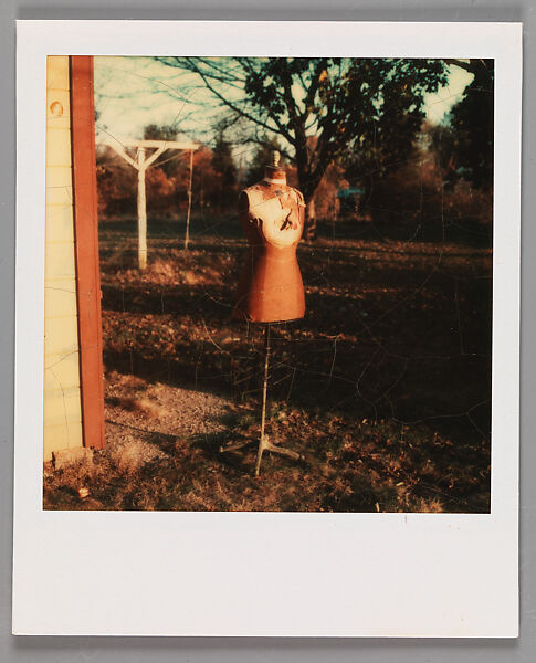 [Dressmaker's Form], Walker Evans (American, St. Louis, Missouri 1903–1975 New Haven, Connecticut), Instant internal dye diffusion transfer print (Polaroid SX-70) 
