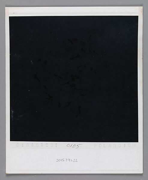 [Liz Lesy and Andrea Kovacs, New Haven, Connecticut], Walker Evans (American, St. Louis, Missouri 1903–1975 New Haven, Connecticut), Instant internal dye diffusion transfer print (Polaroid SX-70)