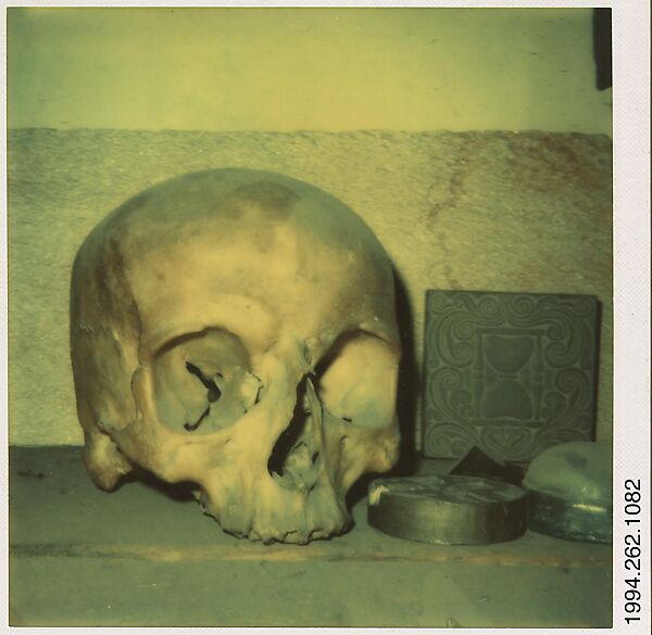[Skull], Walker Evans (American, St. Louis, Missouri 1903–1975 New Haven, Connecticut), Instant internal dye diffusion transfer print (Polaroid SX-70) 