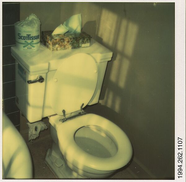 [Toilet], Walker Evans (American, St. Louis, Missouri 1903–1975 New Haven, Connecticut), Instant internal dye diffusion transfer print (Polaroid SX-70) 