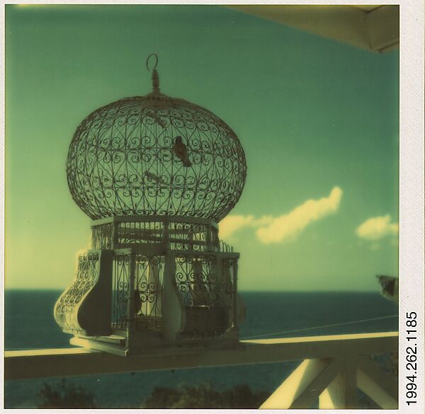 Walker Evans [Birdcage on Railing, Royal Pavilion, Brighton, England
