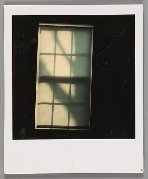 [Tree Shadow on Shade in Window], Walker Evans (American, St. Louis, Missouri 1903–1975 New Haven, Connecticut), Instant internal dye diffusion transfer print (Polaroid SX-70) 