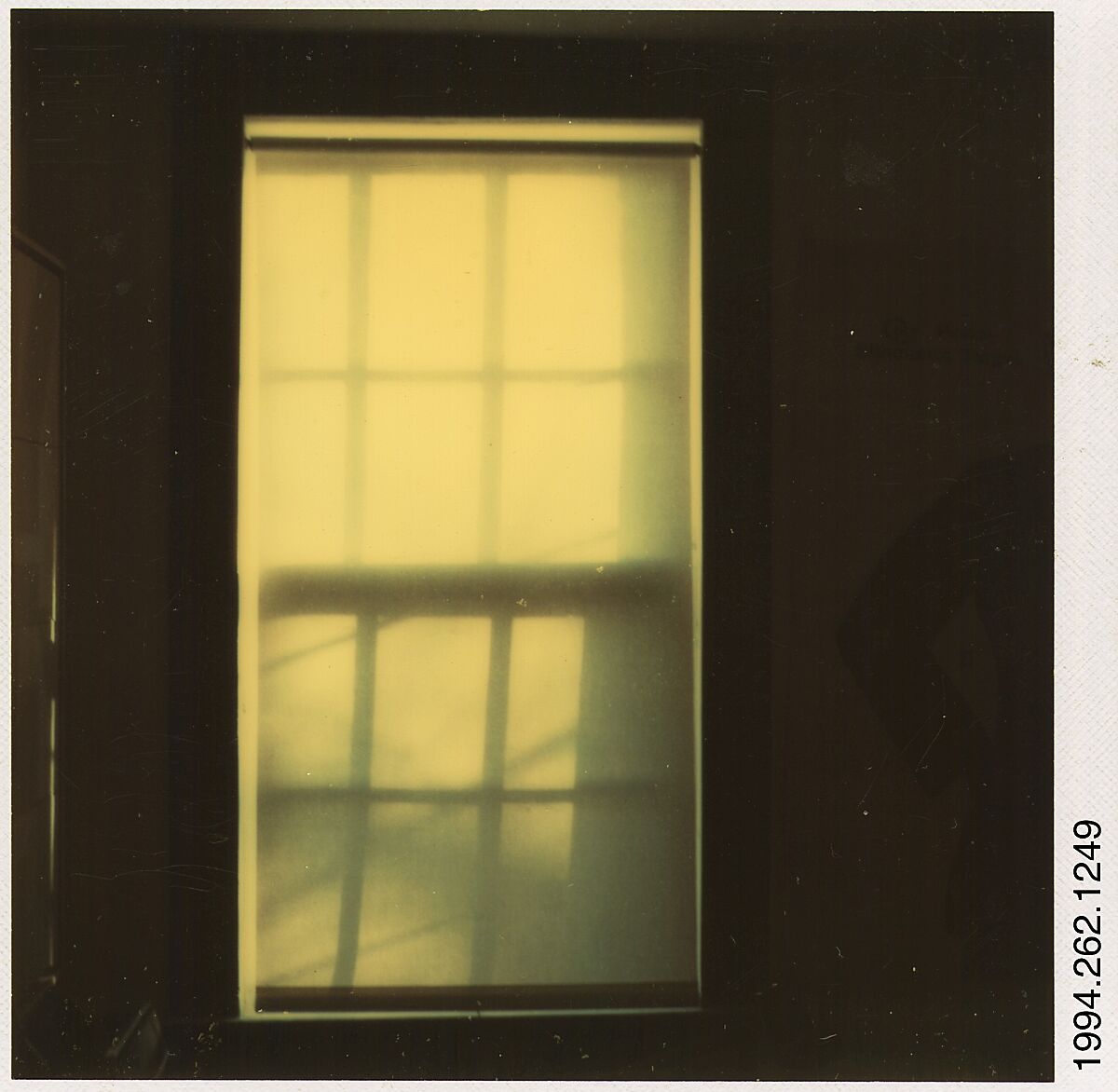 [Tree Shadow on Shade in Window], Walker Evans (American, St. Louis, Missouri 1903–1975 New Haven, Connecticut), Instant internal dye diffusion transfer print (Polaroid SX-70) 
