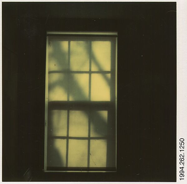 Walker Evans - [Tree Shadow on Shade in Window] - The Metropolitan