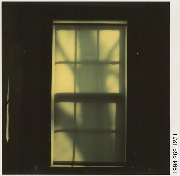 [Tree Shadow on Shade in Window], Walker Evans (American, St. Louis, Missouri 1903–1975 New Haven, Connecticut), Instant internal dye diffusion transfer print (Polaroid SX-70) 