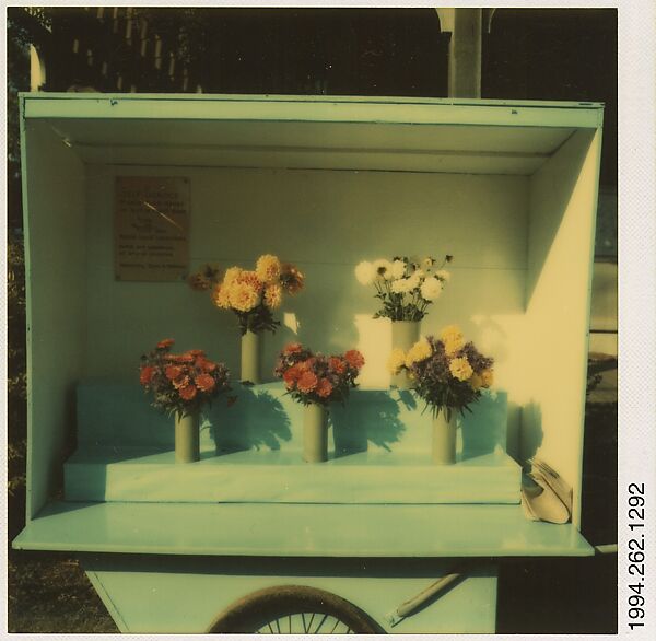 [Flower Cart Display, Martha's Vineyard, Massachusetts], Walker Evans (American, St. Louis, Missouri 1903–1975 New Haven, Connecticut), Instant internal dye diffusion transfer print (Polaroid SX-70) 