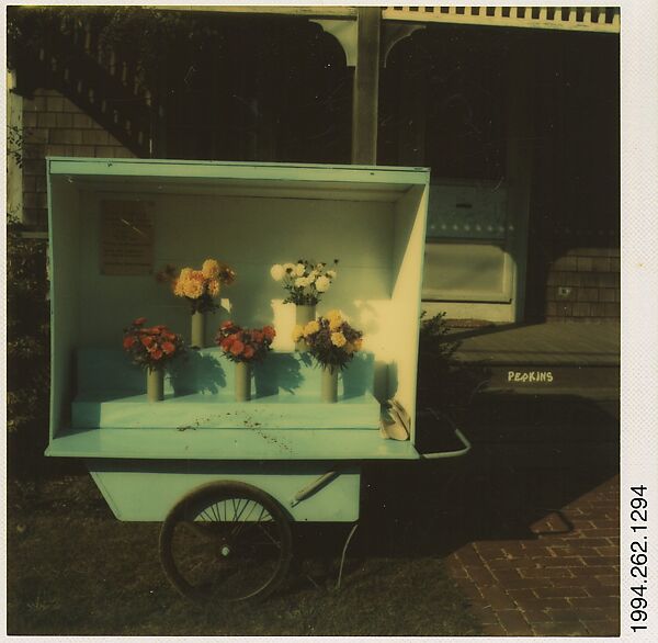 [Flower Cart Display, Martha's Vineyard, Massachusetts], Walker Evans (American, St. Louis, Missouri 1903–1975 New Haven, Connecticut), Instant internal dye diffusion transfer print (Polaroid SX-70) 