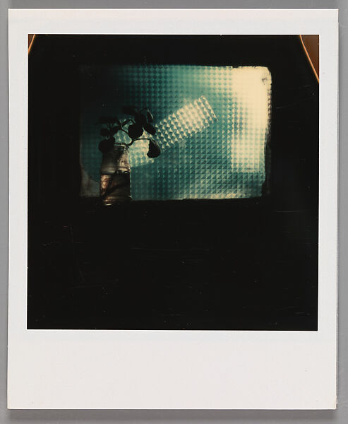 [Rooting Plant in Jar on Windowsill], Walker Evans (American, St. Louis, Missouri 1903–1975 New Haven, Connecticut), Instant internal dye diffusion transfer print (Polaroid SX-70) 