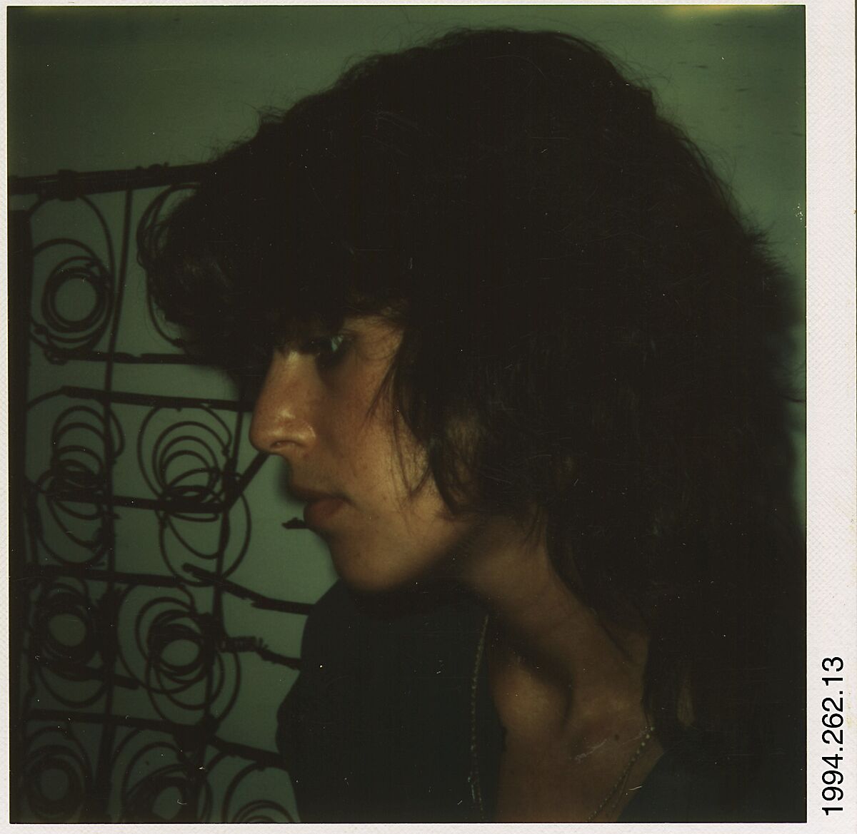 [Ricki Hudeas, Old Lyme, Connecticut], Walker Evans (American, St. Louis, Missouri 1903–1975 New Haven, Connecticut), Instant internal dye diffusion transfer print (Polaroid SX-70)