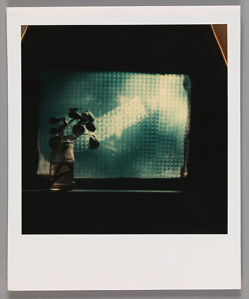 [Rooting Plant in Jar on Windowsill], Walker Evans (American, St. Louis, Missouri 1903–1975 New Haven, Connecticut), Instant internal dye diffusion transfer print (Polaroid SX-70) 